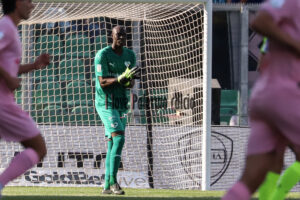 palermo cesena 2-0 (53)