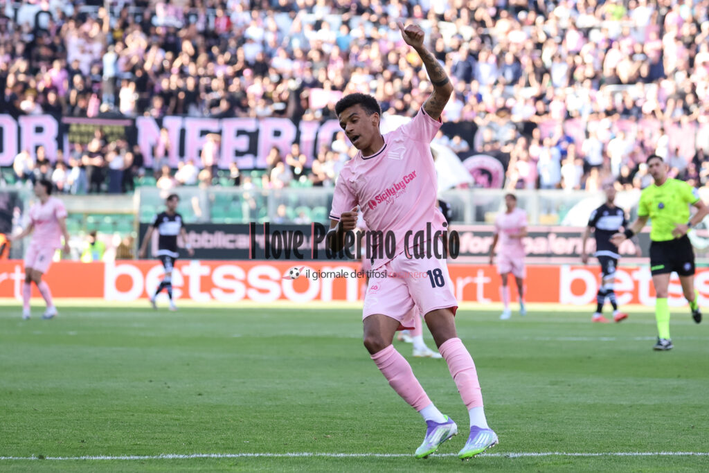 palermo cesena 2-0 (55) Rui modesto