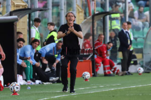 palermo cesena 2-0 (60)