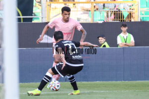 palermo cesena 2-0 (91)