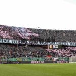 Coppa Italia, Palermo-Lecce si giocherà il 17 agosto al Barbera