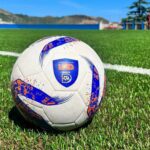 Caos Serie D, la Reggina denuncia il Messina: chiesto lo stop immediato