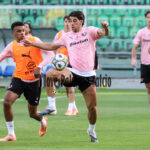 Rui Modesto, spunta il Levski Sofia: il Palermo osserva l’evolversi della situazione