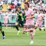 Giornale di Sicilia: “Palermo, ecco il vero Johnsen”