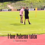 Ritiro Palermo: Le Douaron torna in gruppo, ancora differenziato per Palumbo