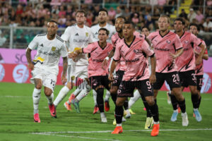Palermo Juve Stabia 1-0 (54)