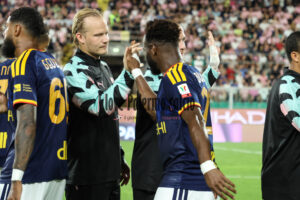 Palermo-Lecce 2-0 (18)