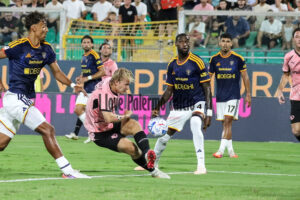 Palermo-Lecce 2-0 (50)