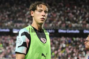 Palermo-Lecce 2-0 (71)