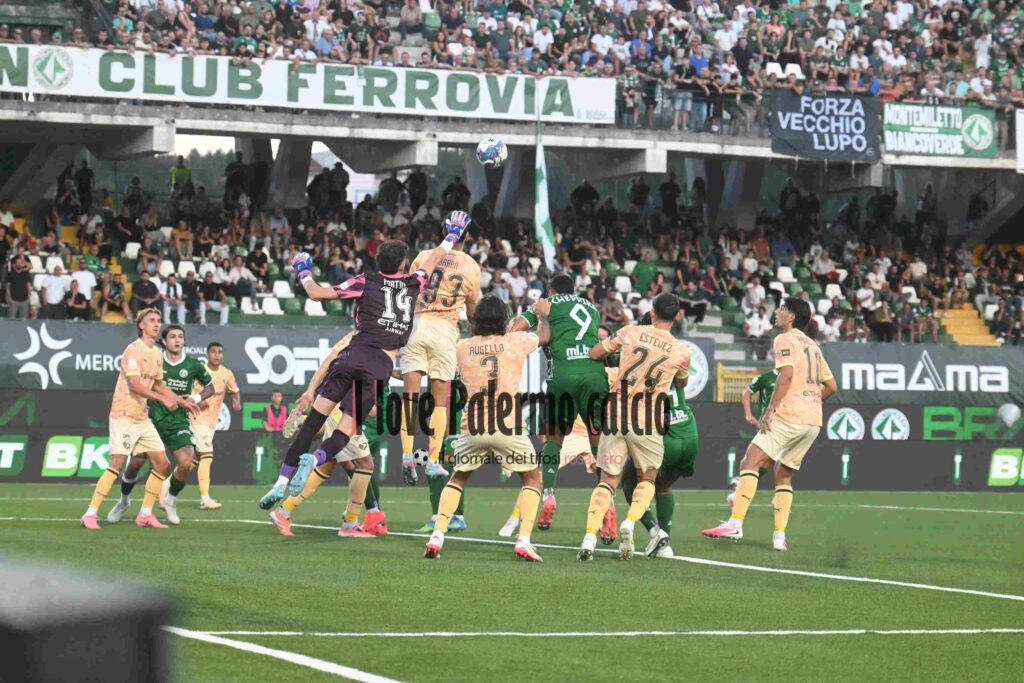 avellino palermo 1-1 (16)