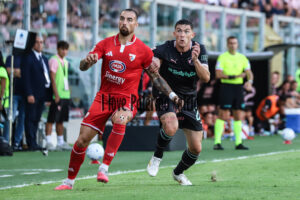 palermo mantova logo coppa italia (26)