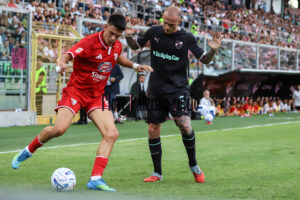 palermo mantova logo coppa italia (39)