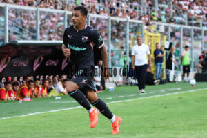 palermo mantova logo coppa italia (44)
