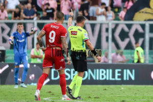 palermo mantova logo coppa italia (50)