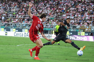 palermo mantova logo coppa italia (76)