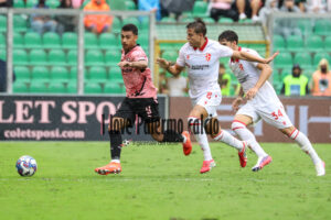 palermo padova 2-1 (58)