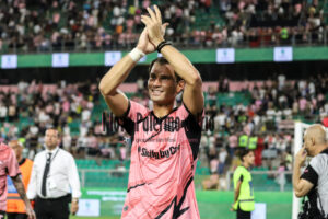 palermo sampdoria 3-1 (35)