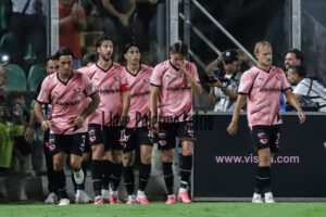 palermo sampdoria 3-1 (47)