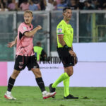 Giornale di Sicilia: “Palermo, Pohjanpalo cerca il decollo. La Carrarese è una delle sue vittime preferite”