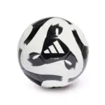 Serie A, cambia il pallone ufficiale: Adidas pronta a sostituire Puma dal 2027/28