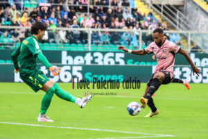 palermo carrarese 2-1 (28)